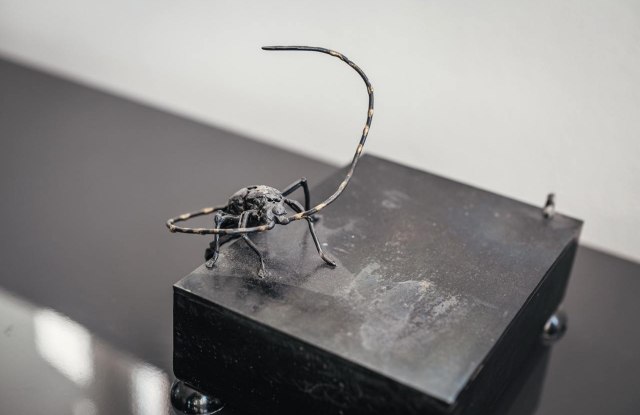 StefanTrocha-FuncTurmEltville-20190821-L1000130