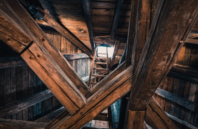 StefanTrocha-FuncTurmEltville-20190821-L1000559